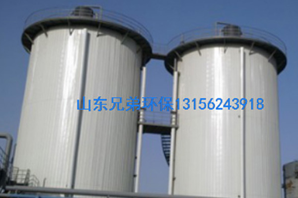 IC厭氧反應(yīng)器