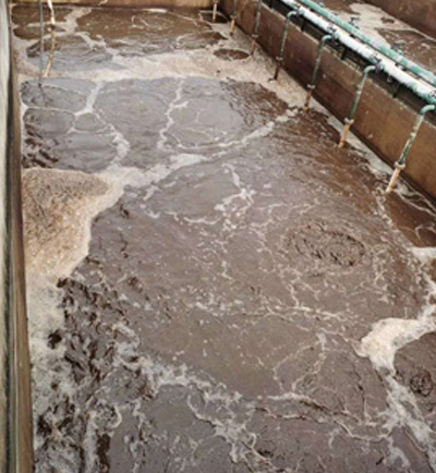 貴陽(yáng)某禽蛋配送中心污水處理工程