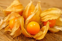 農(nóng)業(yè)自動氣象站助力菇娘規(guī)?；N植