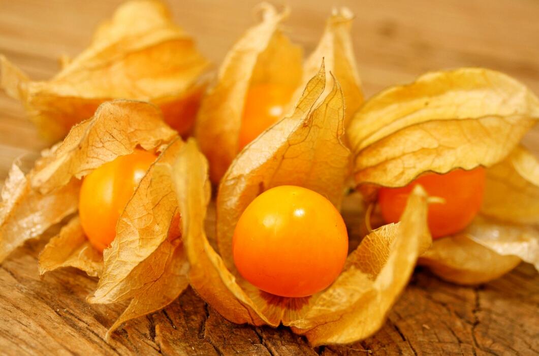 農(nóng)業(yè)自動氣象站助力菇娘規(guī)?；N植